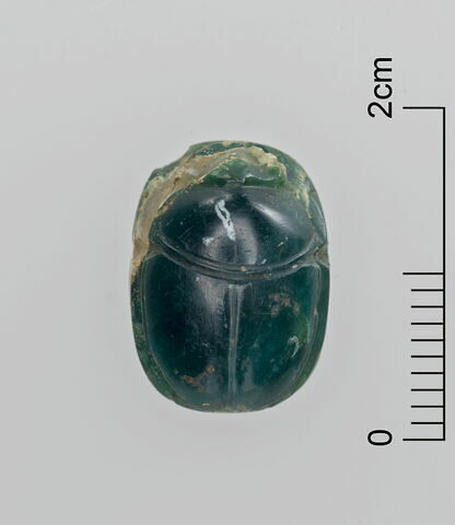 scarabée, image 1/3