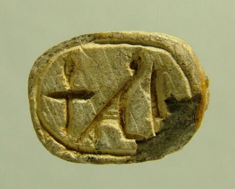 scarabée, image 1/1