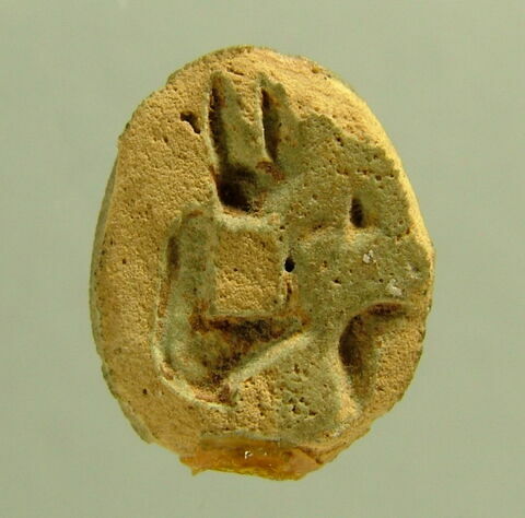 scarabée, image 1/1