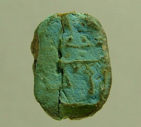 scarabée, image 1/1