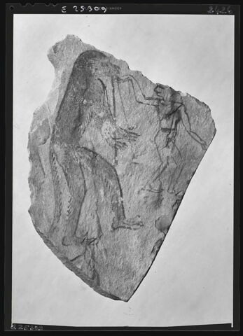 ostracon figuré, image 2/2