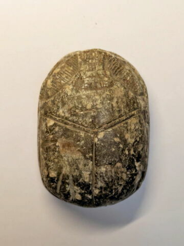 scarabée de cœur, image 2/3