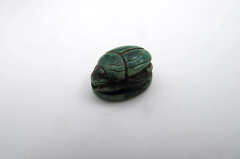 scarabée, image 2/4