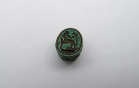 scarabée, image 4/4