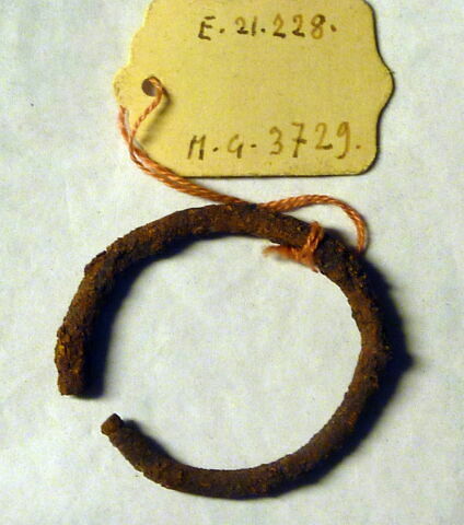 anneau, image 1/1