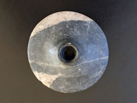 tête de massue discoïde, image 2/6