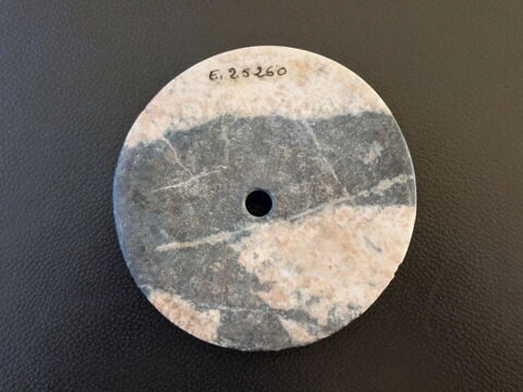 tête de massue discoïde, image 3/6