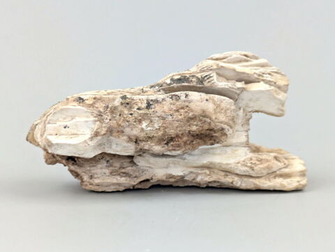 pion de jeu, image 3/8