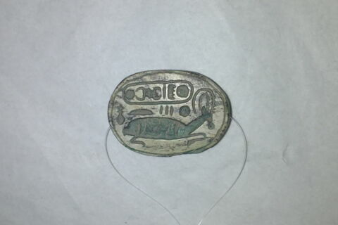 scarabée, image 1/2