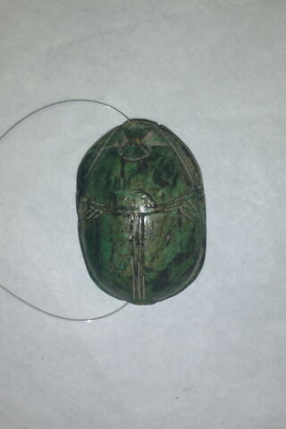 scarabée, image 2/2