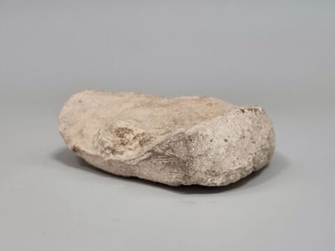 modèle de sculpteur, image 2/3