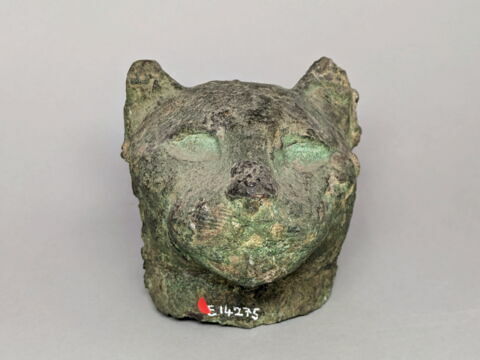 cercueil de chat