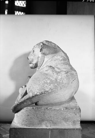 Lion du Sérapéum, image 4/7