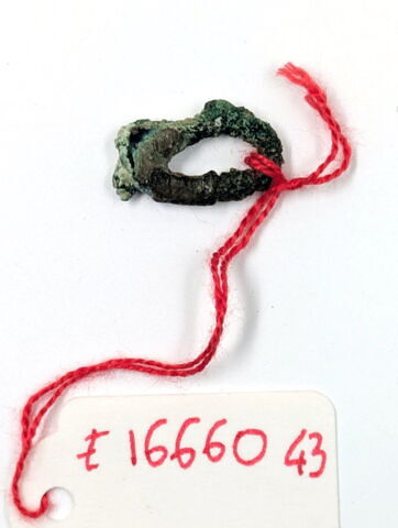 anneau, image 1/2