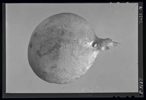 coupelle  ; vase plastique ; couvercle de vase, image 8/8
