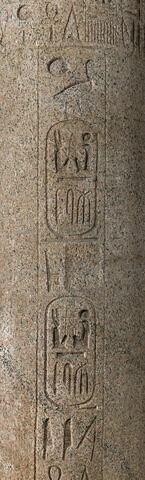 colonne palmiforme, image 42/43