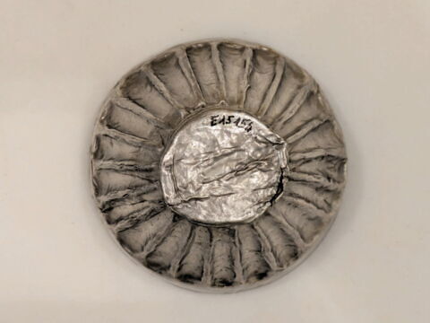 bol ; coupe, image 4/4