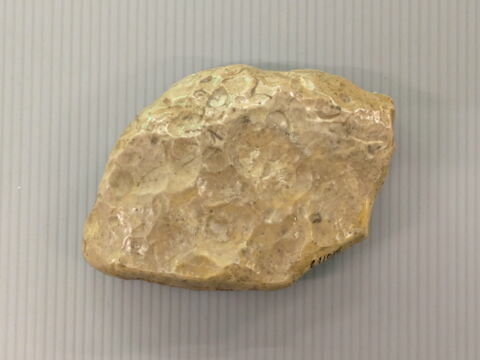 ostracon figuré, image 2/2