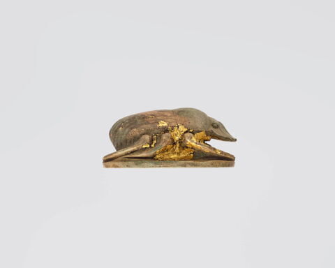 scarabée de cœur, image 4/8