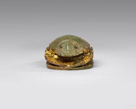 scarabée de cœur, image 5/8