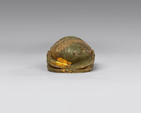 scarabée de cœur, image 6/8