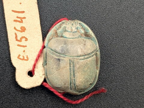 scarabée, image 2/2