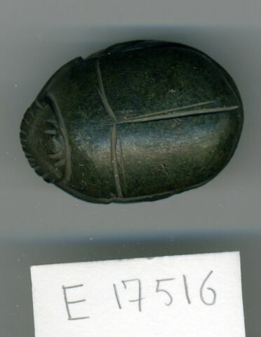scarabée de cœur, image 1/1