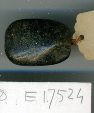 scarabée, image 1/1