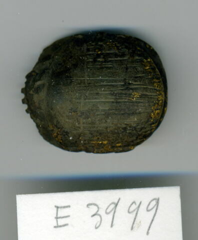 scarabée de cœur, image 1/2