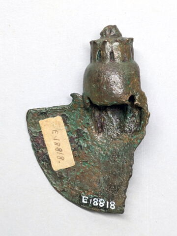 égide, image 2/2