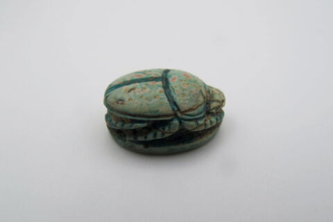 scarabée, image 2/4