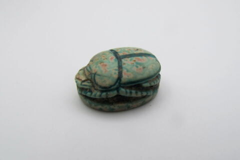 scarabée, image 3/4