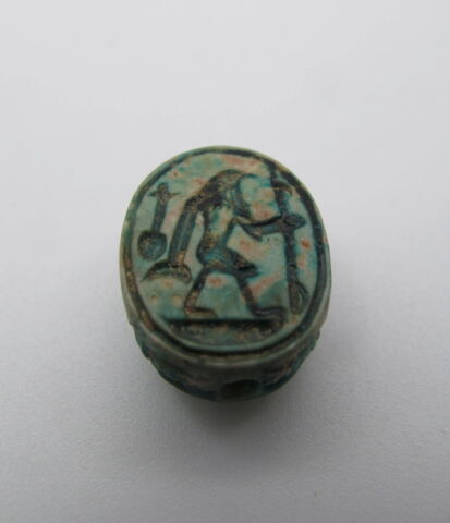 scarabée, image 4/4