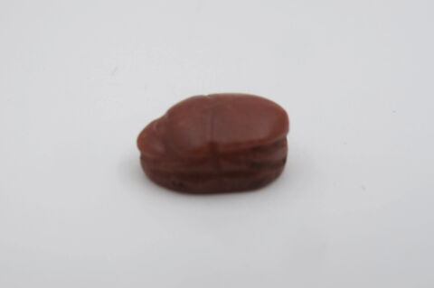 scarabée, image 3/4