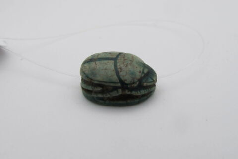 scarabée, image 2/4