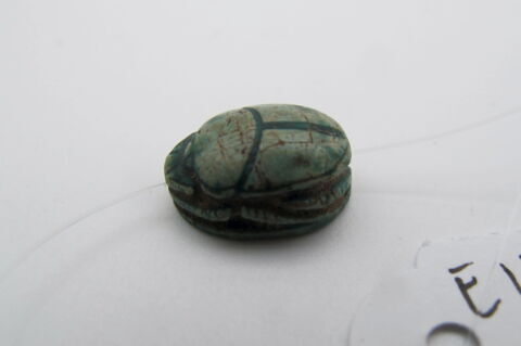 scarabée, image 3/4