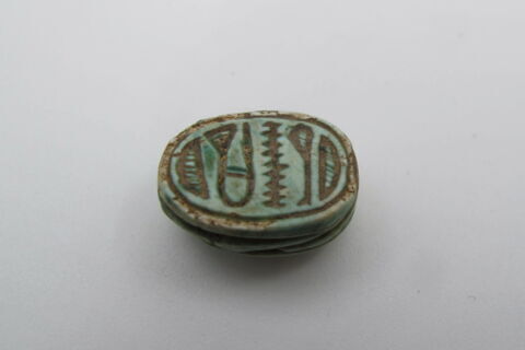 scarabée, image 4/4