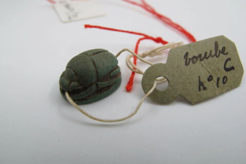 scarabée, image 3/4