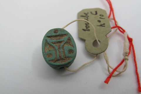 scarabée, image 4/4