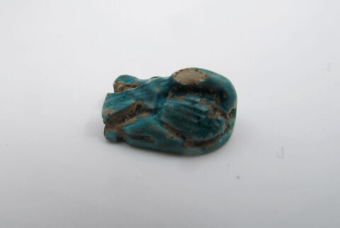 scaraboïde, image 3/4