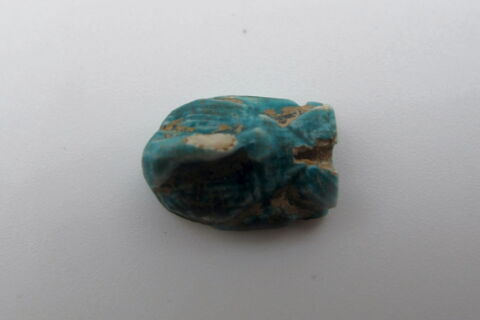 scaraboïde, image 4/4