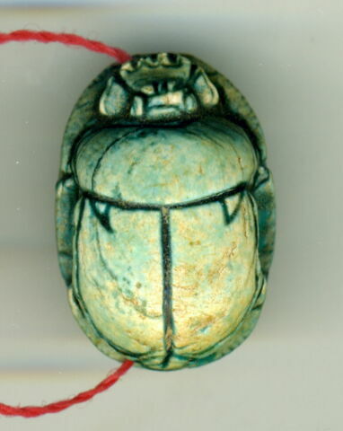 scarabée, image 2/4