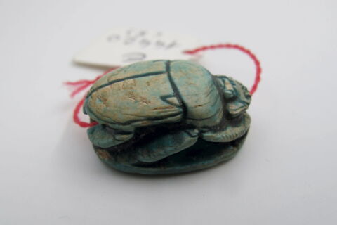 scarabée, image 2/5