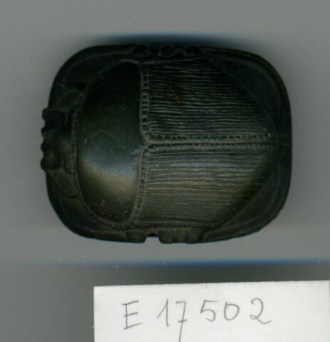 scarabée de cœur, image 1/1