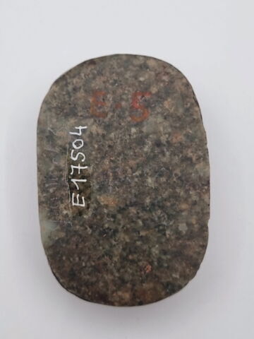 scarabée de cœur, image 2/2
