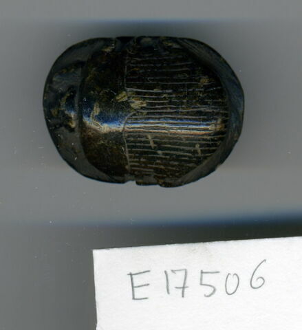 scarabée de cœur, image 1/1
