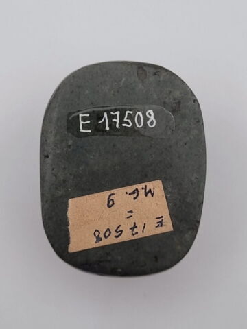 scarabée de cœur, image 2/2