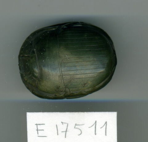 scarabée de cœur, image 1/1