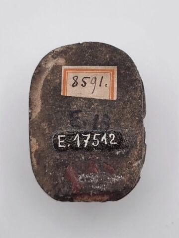 scarabée de cœur, image 2/2