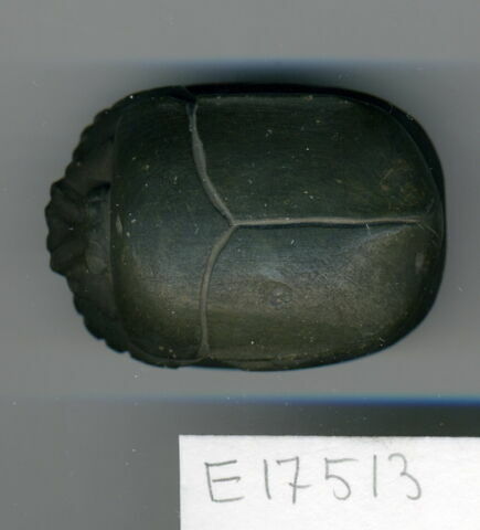 scarabée de cœur, image 1/1
